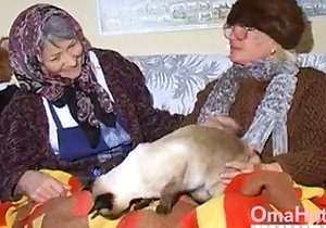 Blond-haired granny fucks grey-haired granny